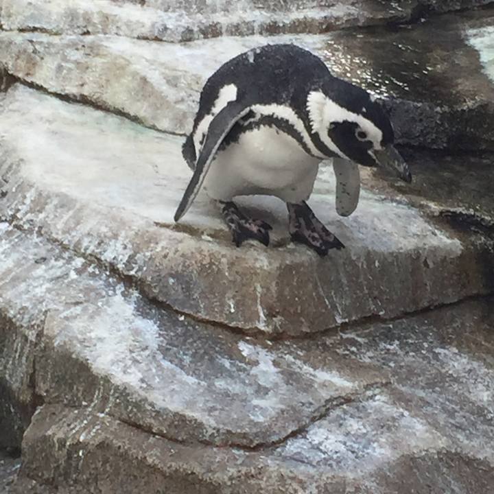 61192d70 1c63 4223 8389 1dba841ce159