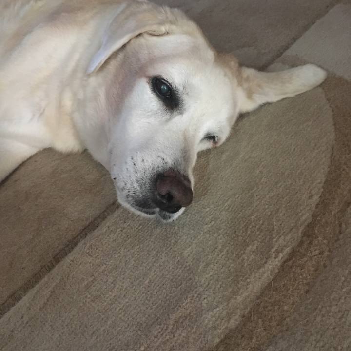 61193fa6 cfdd 4b66 be26 7f62459c8987