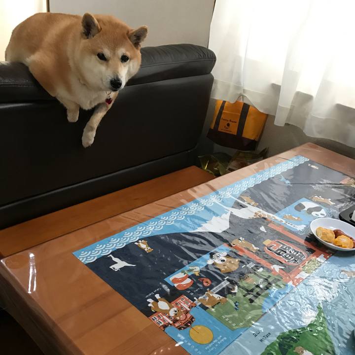 6119659c 10a8 4b82 a83a 8652dc481118