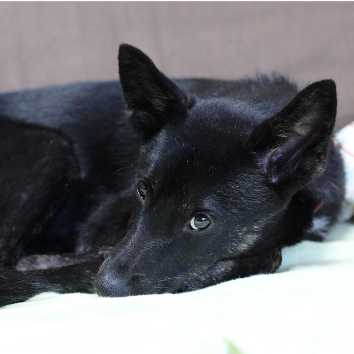 611a0ad4 395f 4dbb ae71 1032040e5cfe