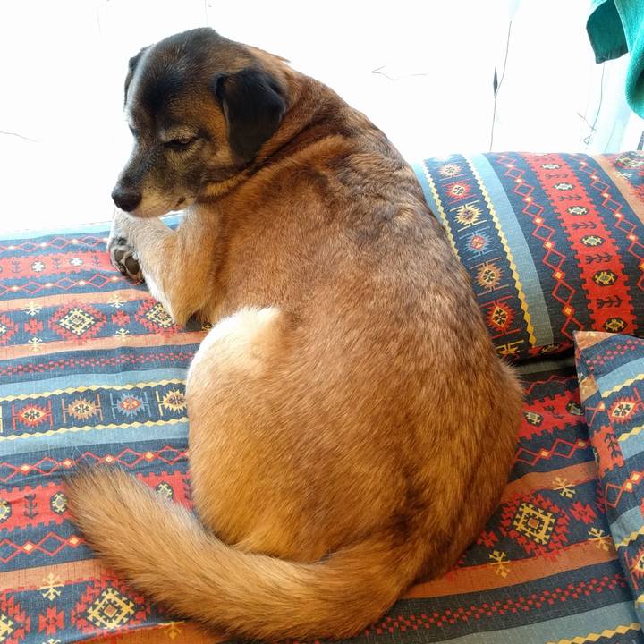 611a5ca7 d874 43e5 a251 1b31af298aa2