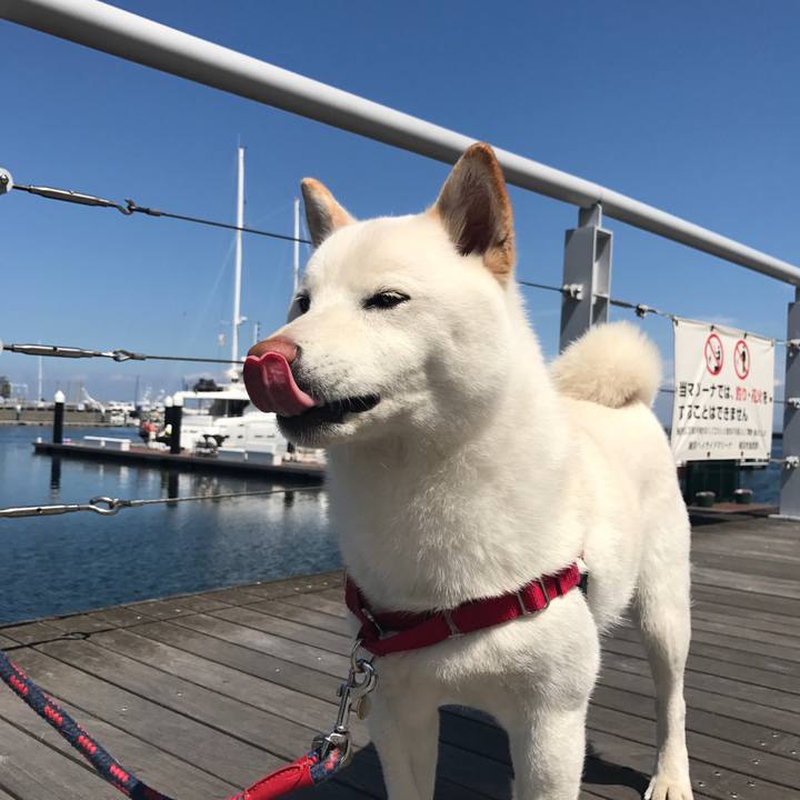 611a75a0 9521 424a b885 f86de53e6696