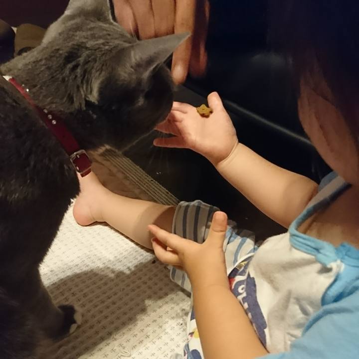 611a7ff1 fd4b 49b3 909a 25b3f4282484