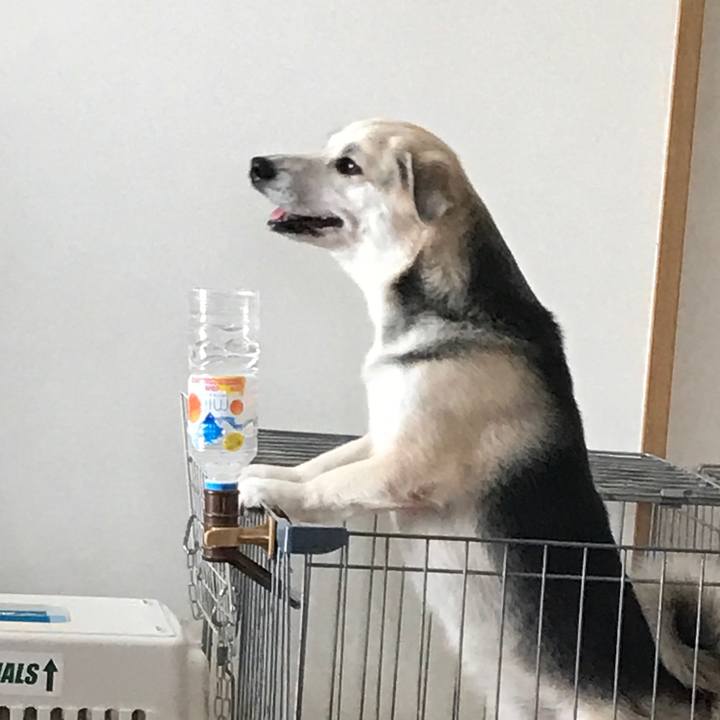 611a89e9 5071 42b4 aff5 00a584a7fddb