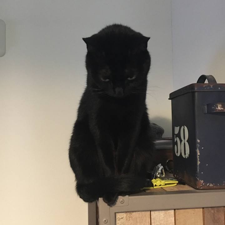 611b7943 8e0c 4804 88f0 d4a6cf560a9c