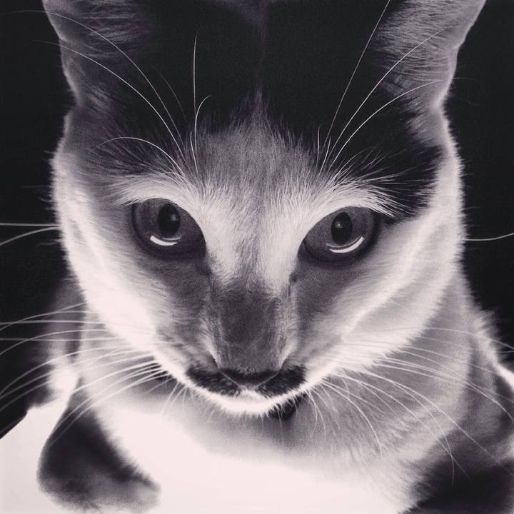 611b7b14 d69d 49e6 b9b0 3f60cdba5c07