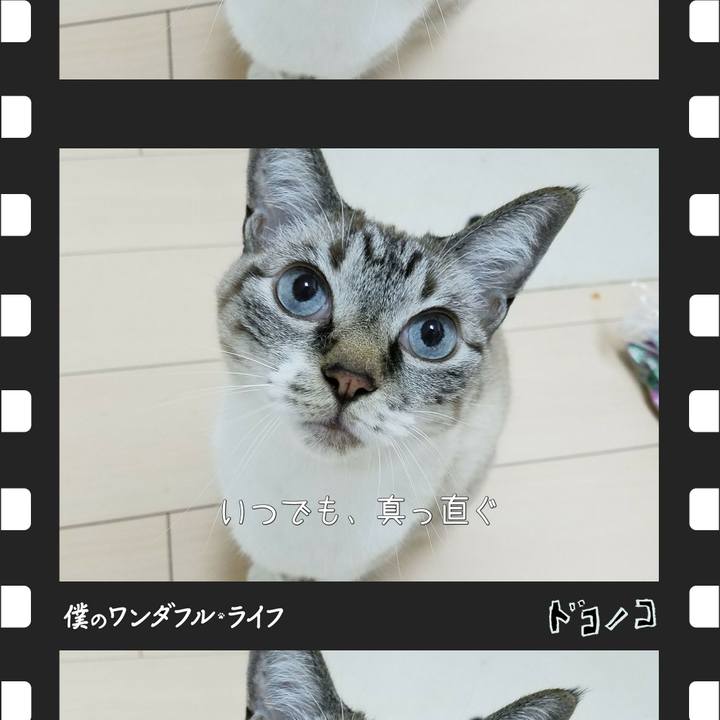 611b9196 d0a4 4cef 8239 87449ae92062