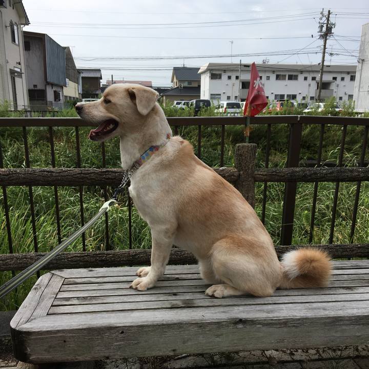 611c04f3 fd7a 4c2b 976a 738cb3692fa7