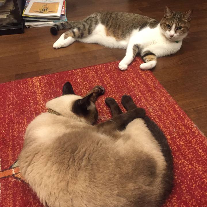 611c76bf a201 4b66 a7a9 f0c7d4f7f1b9