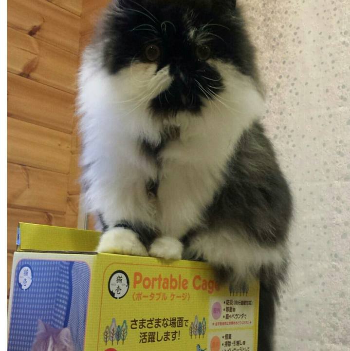 611c780b 9cdd 4e74 9e22 f746bb8397d4