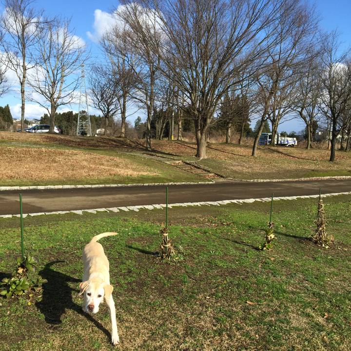 611caba3 d489 4a44 9ac3 0269197f8755