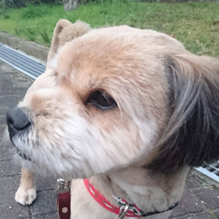 611cc45f 9dbc 4c4e 9b32 9b8e070d3e63