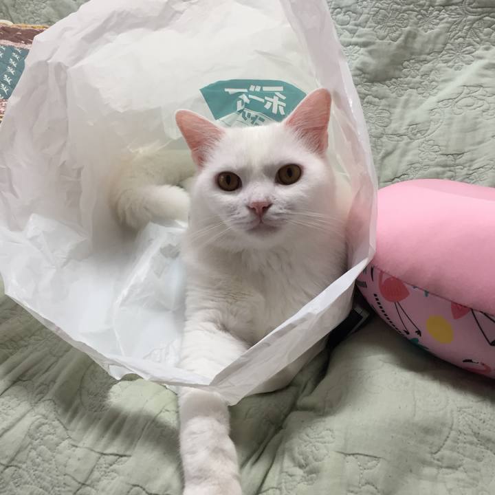 611cfec6 1b19 4486 a866 55e0bc382e14