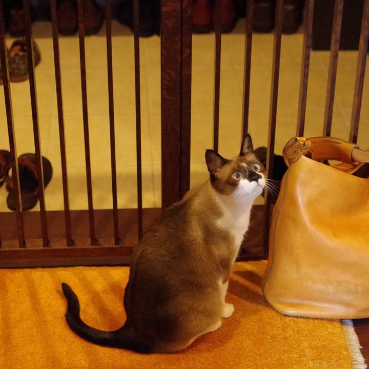 611d1a5a 4076 4ee4 8b4e 9c37a10602ff