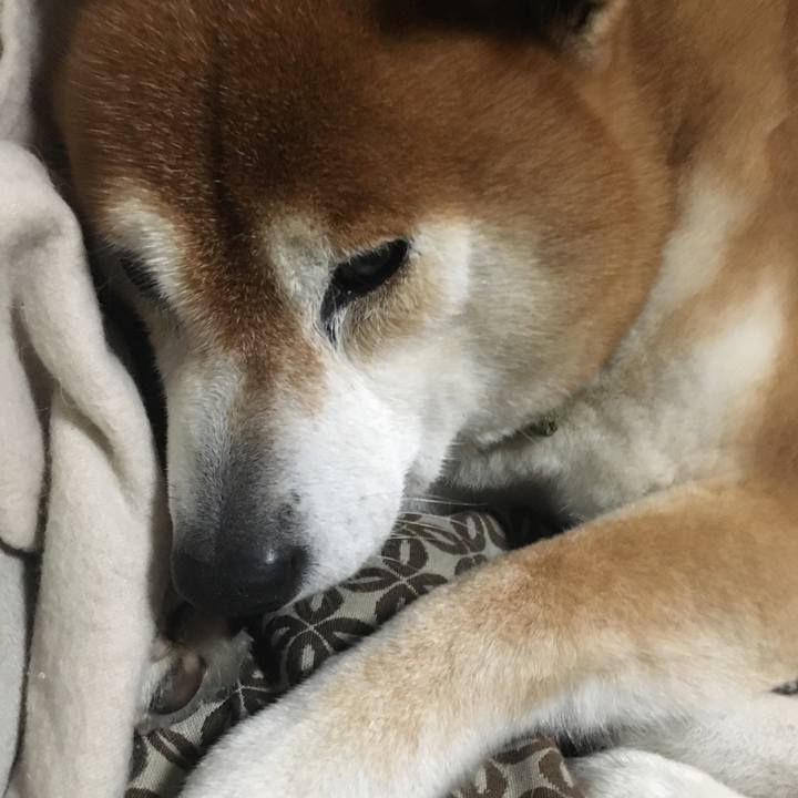 611d276d e574 4029 90b5 6bc60ebebc06