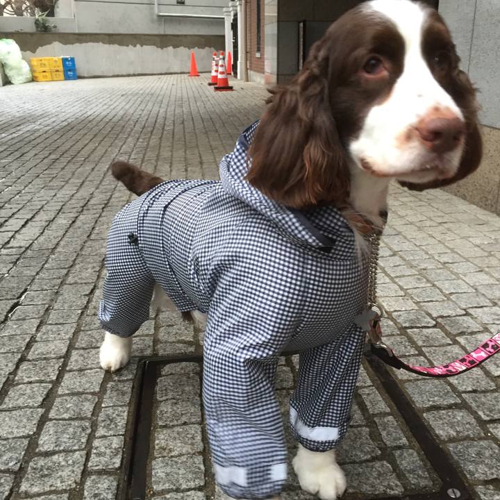 611dd11e 4d17 45e4 b373 7a039630afd7