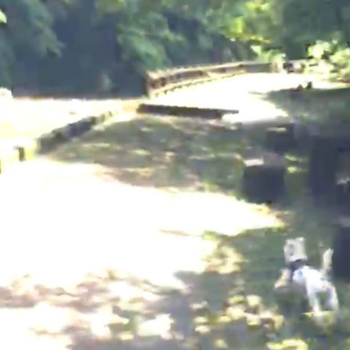 611e8b2f 0f9f 4745 bbbe 41e14c56c5bf