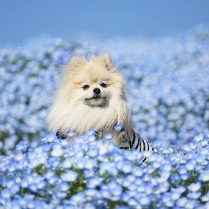 611ef388 76b1 40f5 a251 cc35af3ccc8a