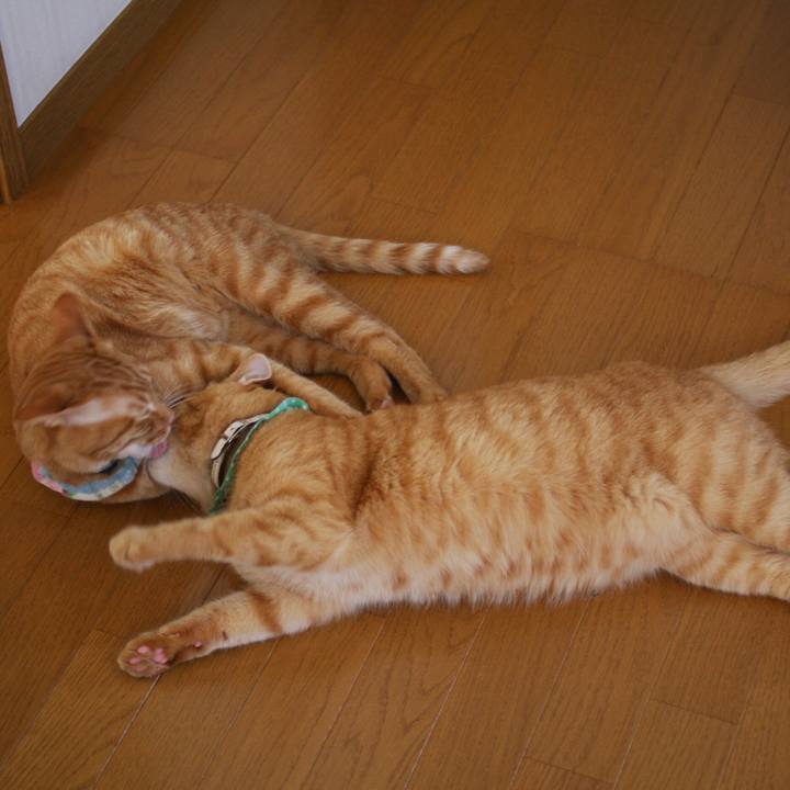 611f2c01 c884 4d00 871a c9efff5d36a6