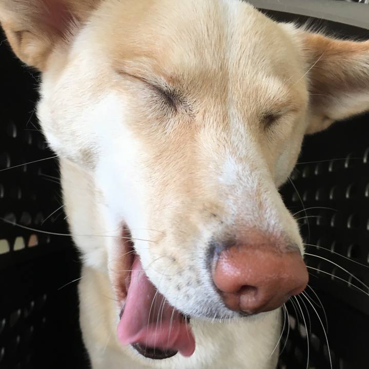 611f724d 8a2d 4689 8b27 8feab5eef109