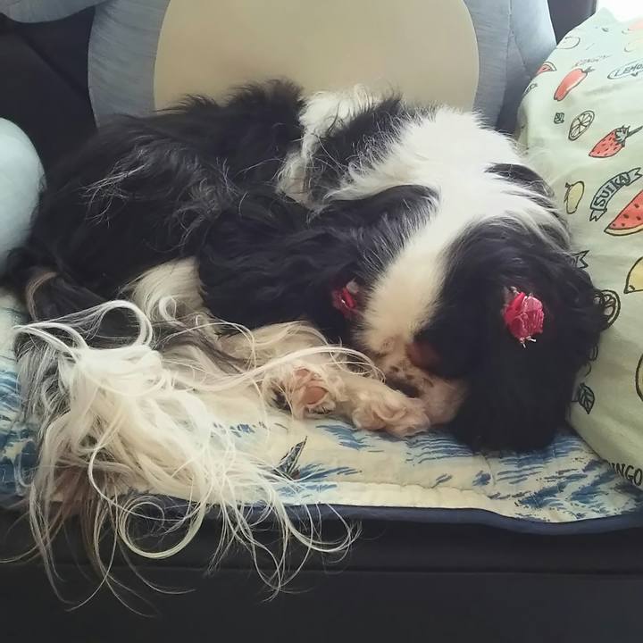 611f936f 77e9 4ba3 ab04 3f015ecdc7b3