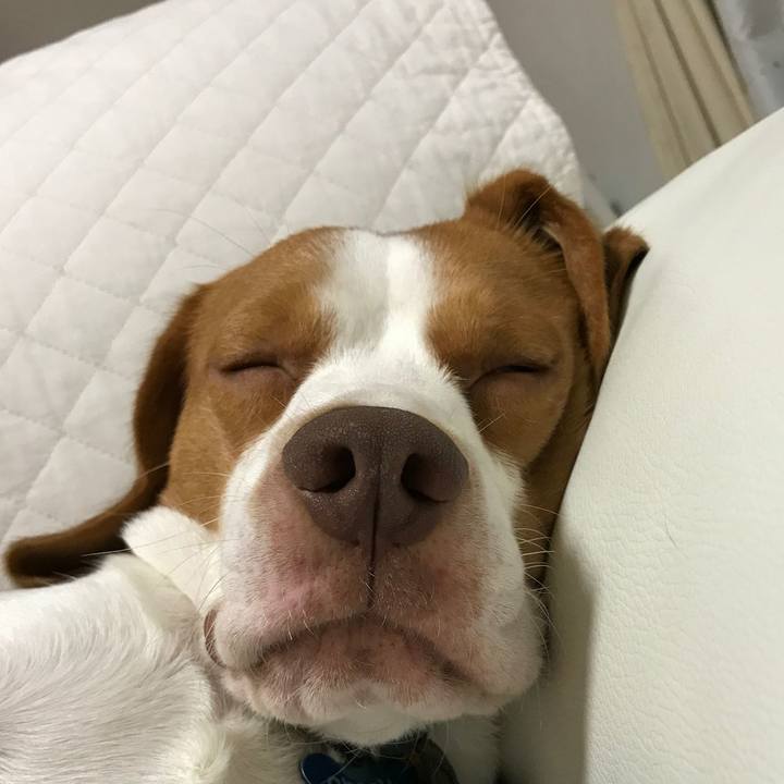 611fc195 27a3 4cd9 b598 6934736f2715