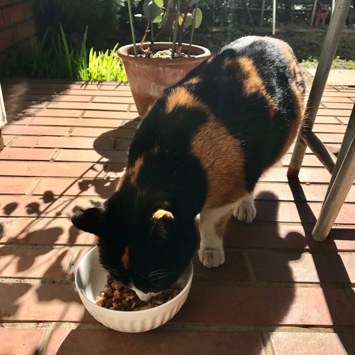 61200133 bf56 4742 a847 81b2fb972bb5