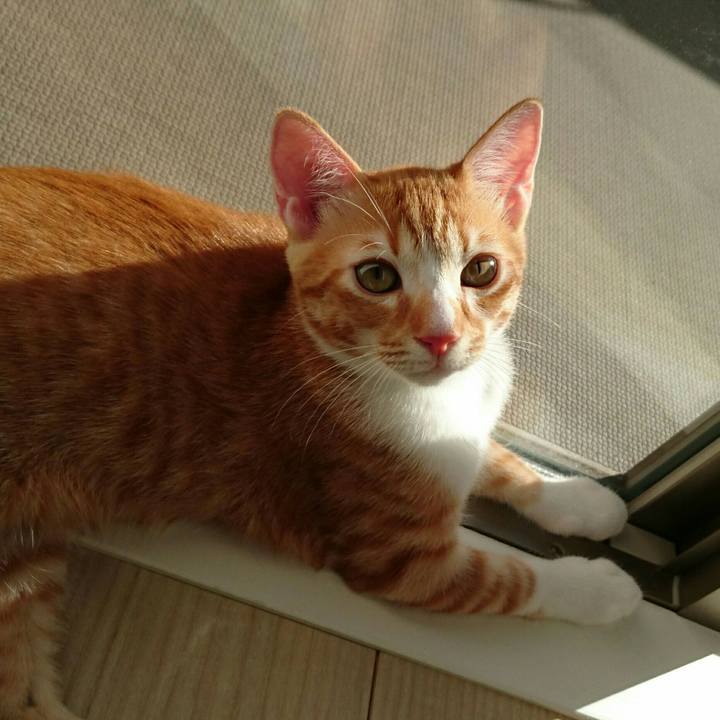 6120e526 488a 44d9 bfec 37a851f758ac