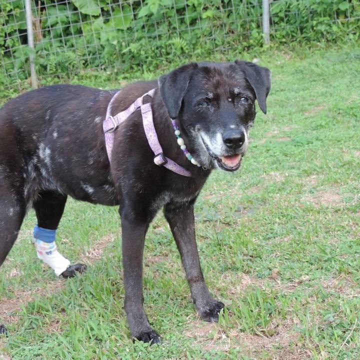 61215a34 a387 4072 86b5 cdf40d19fcab