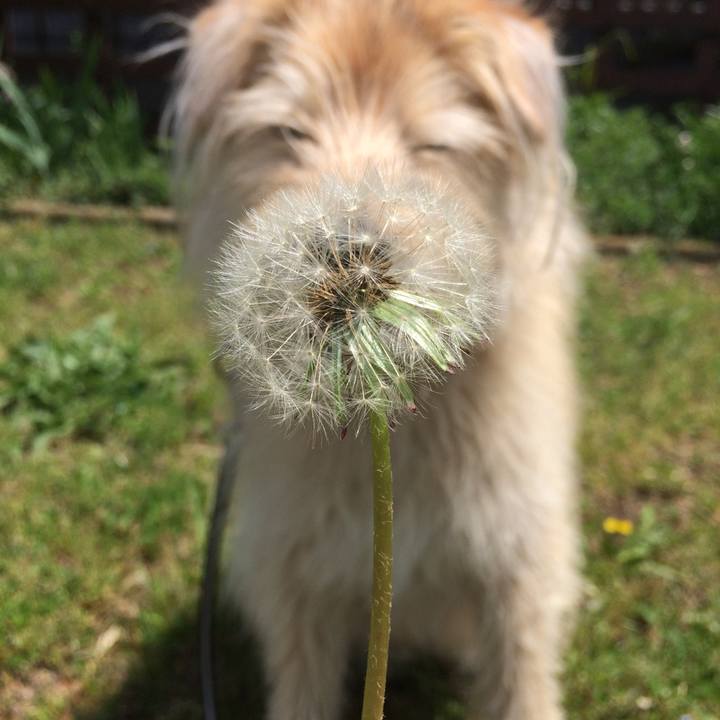 6121ba2b d823 4d80 8d0f 9570816882e0