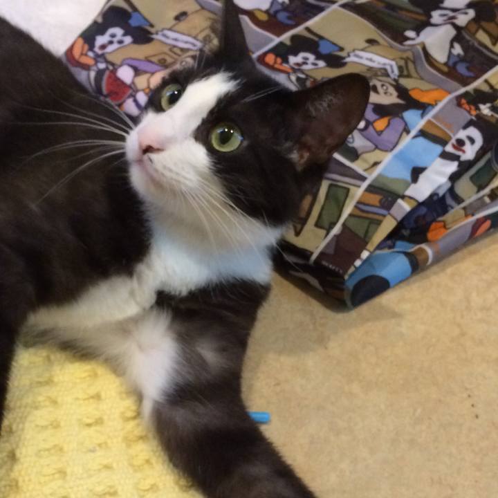 61223584 17d0 4215 90e2 24bb657b2bb0