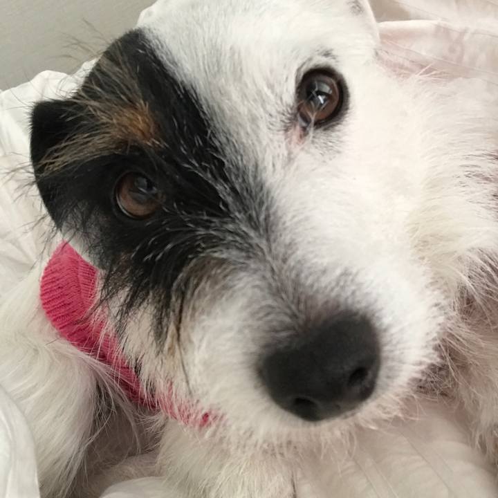 612239ef 09d6 43cb 835d 4f2fe371c417