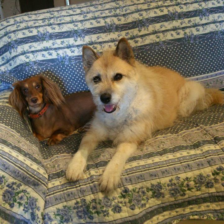 6122b9f2 9a2f 4292 84bb 521a3c9efc11