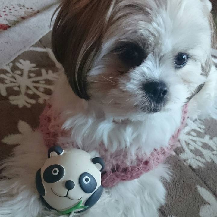 6122d00c 4fa9 4c6e b4fe 309b9660124b