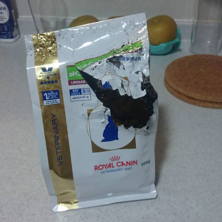 6122d1a1 a2e6 40d7 a183 9c2627d2b2c6