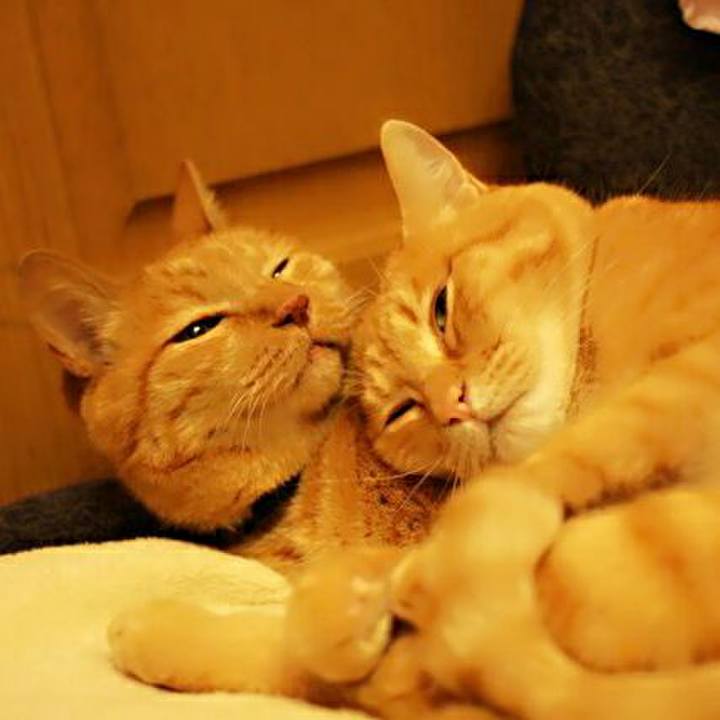 6123c13b 67d2 491f aabb 987204718b30