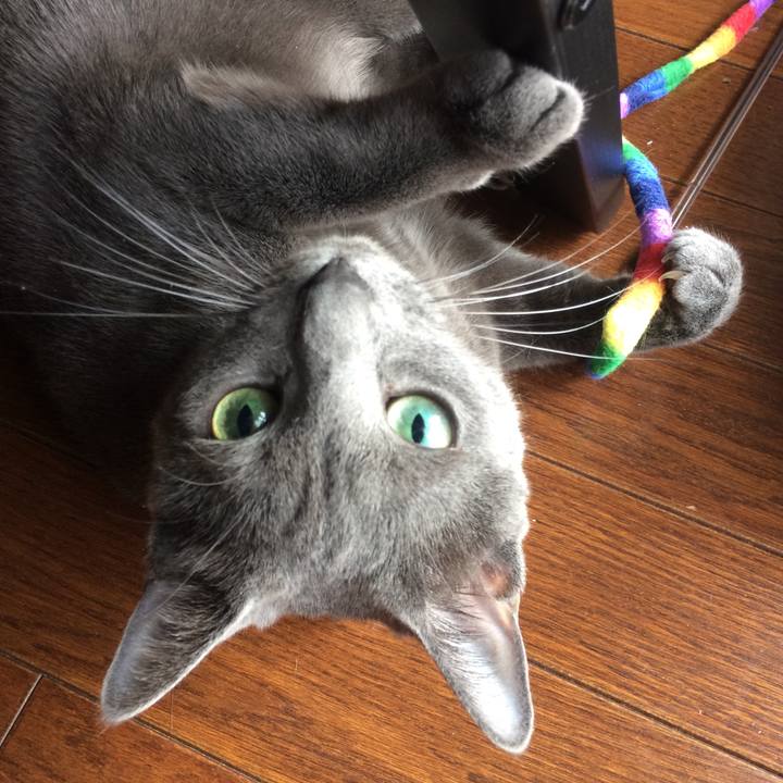 6123ec9b eb4e 4309 a75b c3b6ca76b19a