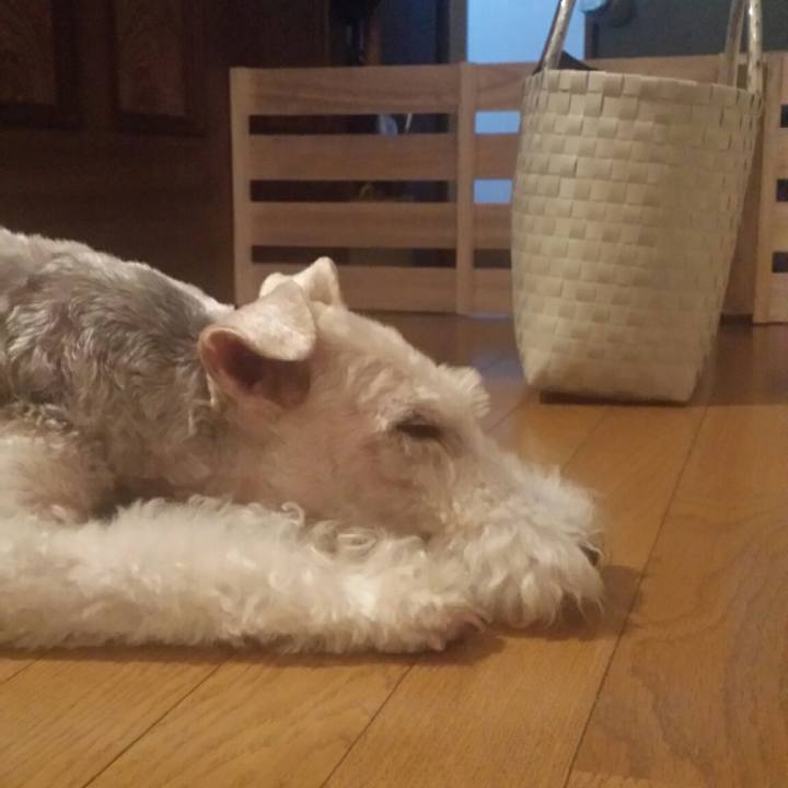 6123f1d9 8aec 40f6 bf6b bad0a198a899