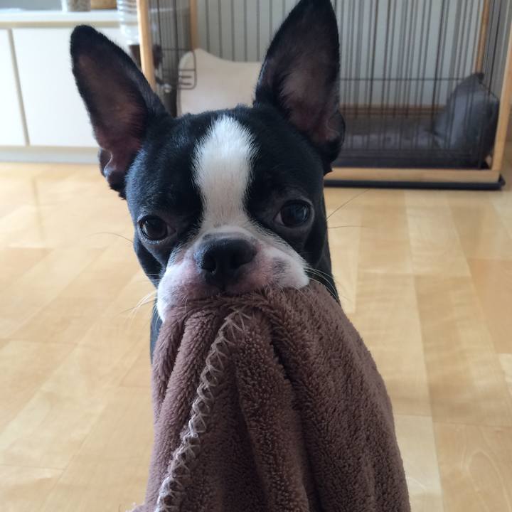 61247298 d35f 4bd2 9bff 9373673a8ac1