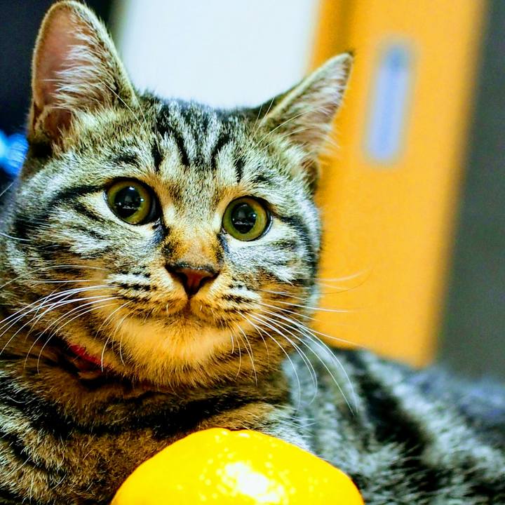 61248bd3 56f0 4cbb a577 69bdf1005747