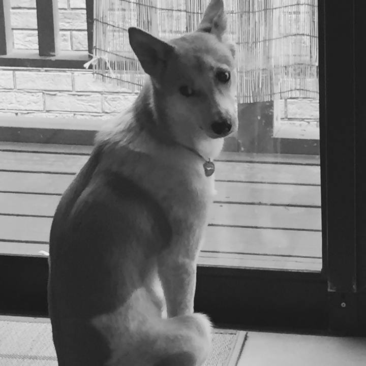 612495b3 4a4a 474d 8610 036986aa59a6