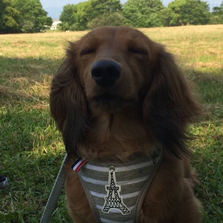 612583cb a606 4588 8e13 eb4a87b85e8a