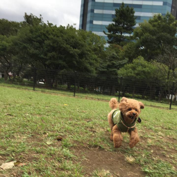 61262d77 a1bb 43b5 a8a1 a5eed629da82