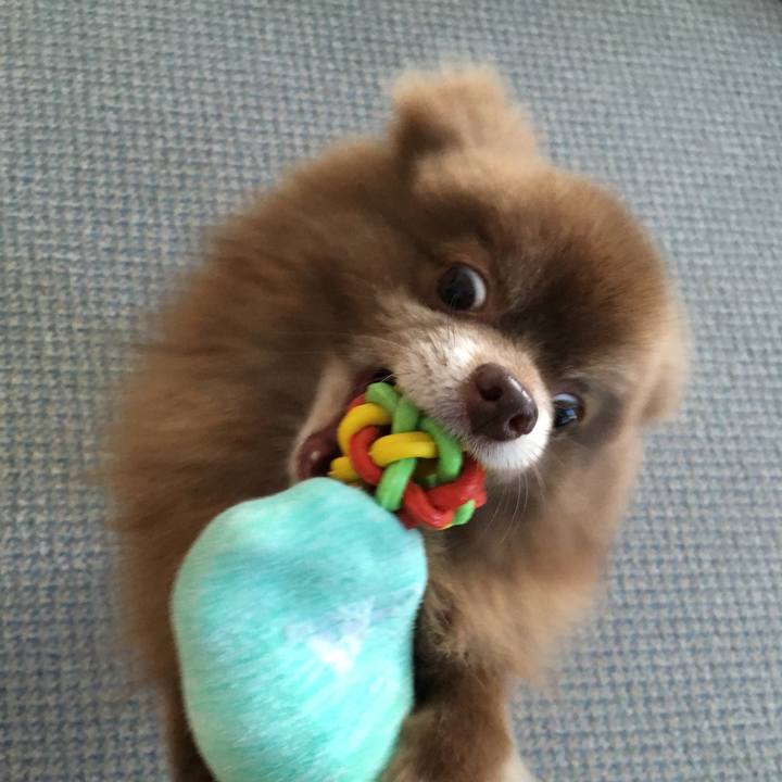 61282cd2 f9a2 4c7b 9a5e b0f6fdc5c114