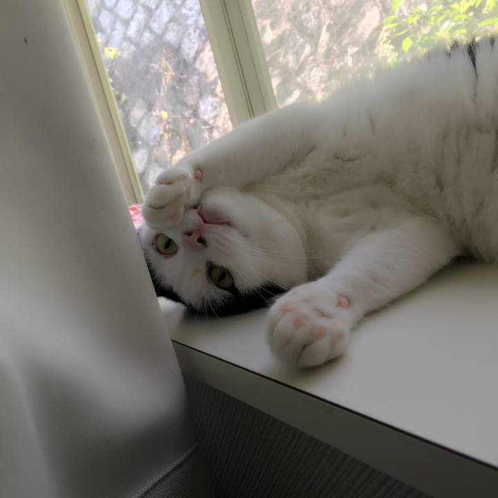 61292329 5443 40d8 9112 9c7b11244039