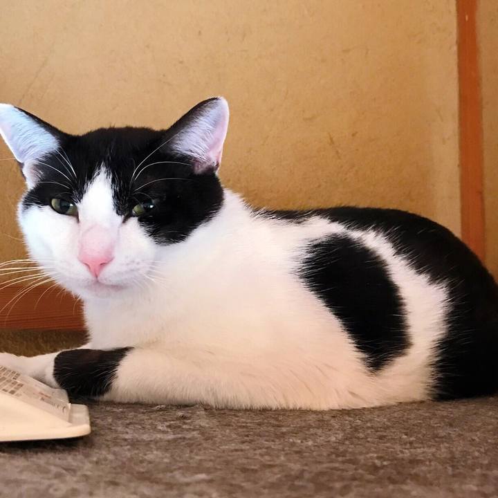 61292400 b0a0 4767 b2a2 1895bf835dcf