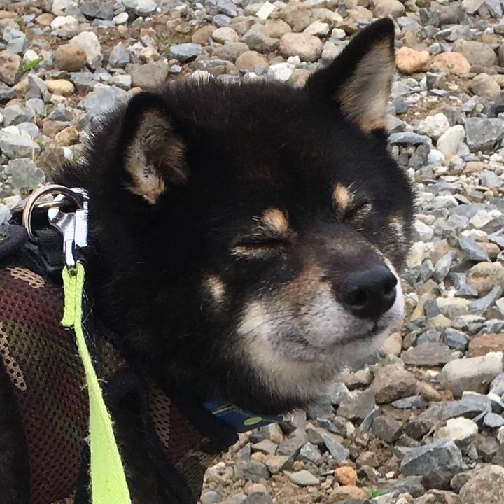 6129985e 3a05 40f9 be3a 702d319ae4f2