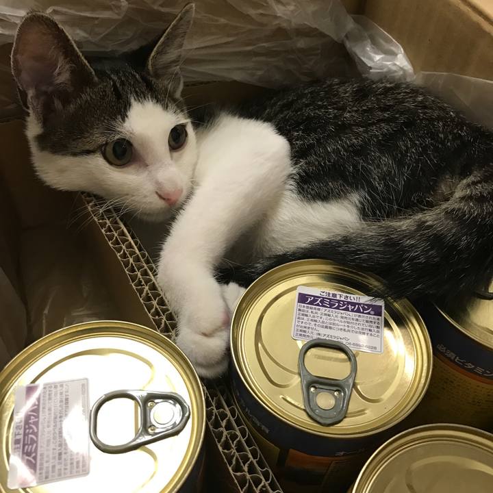 6129d63d 0d40 4d80 8b11 70e65d955911