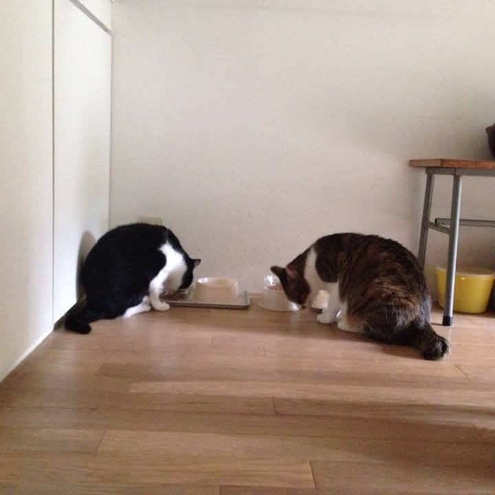 612a0cf6 39e4 4d33 a517 7da2f352da2e