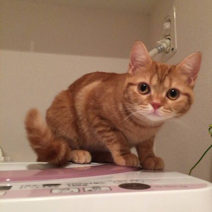 612a66fd 037a 467a aefd 1fc259ebd61b